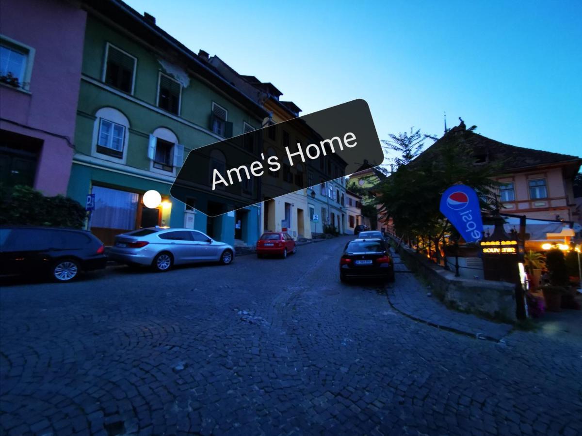 Ame'S Home Σιγκισοάρα Εξωτερικό φωτογραφία